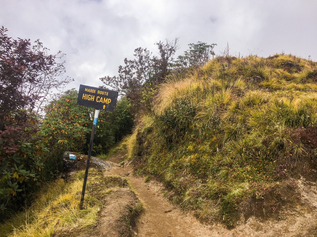 Photo 10-17-18, 12 42 54 PM.jpg